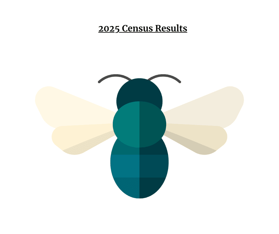 2025 Census results summary graphic