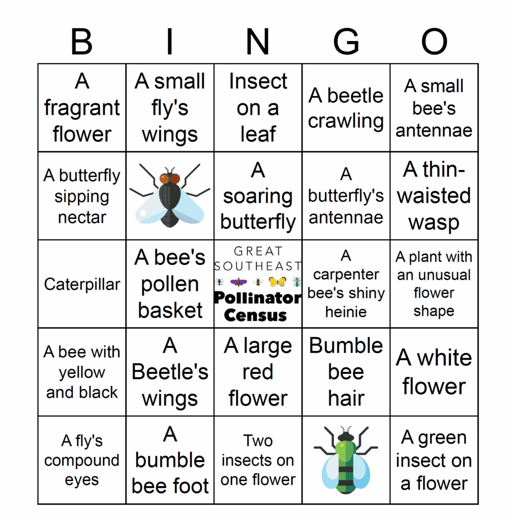 Easy garden hunt BINGO card for insects