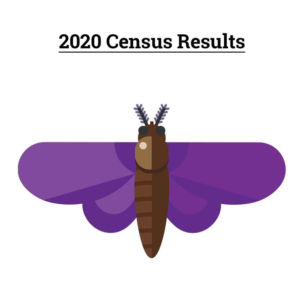 2020 Census results