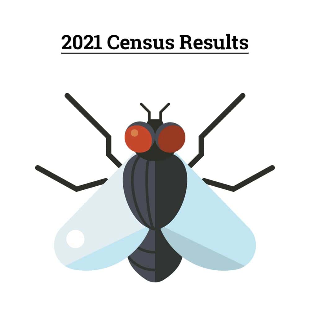 2021 Census results